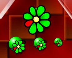 FauxS-X (ICQ) DX Zoomers