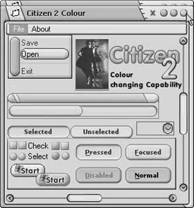 Citizen 2 Grey