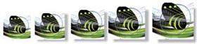Dreamweaver Zoomer Tripack