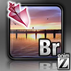 Adobe Bridge CS4