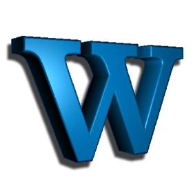 MS Word icon