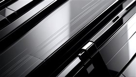 Chrome black and white abstract design