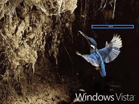 Windows Vista Kingfisher 1.1