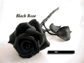 Black Rose