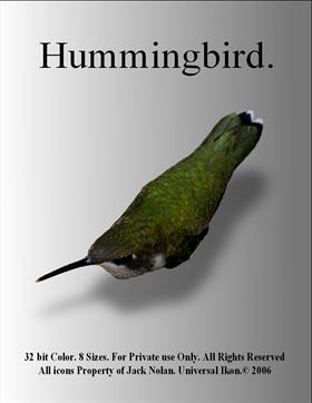 hummingbird