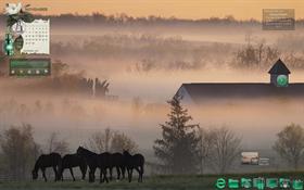 Foggy Horsefarm