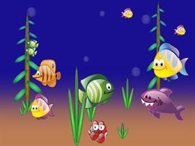 Sea Animals