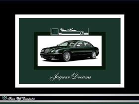 Jaguar Dreams