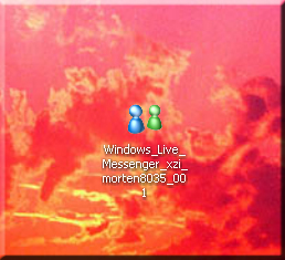 Windows Live Messenger icon