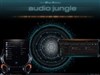 Audio Jungle