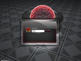 The Brain