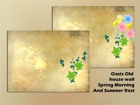 Oasis_Old house wall