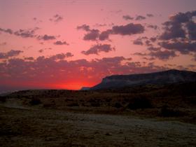 "Desert Dawn"