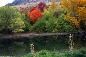 Fall on the Wasatch