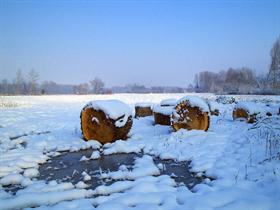 Snow Normandie