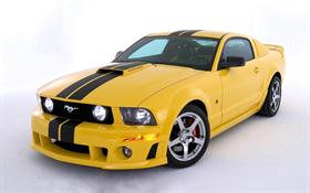 Yellow Mustang