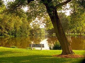 Park Bench