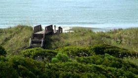 Across the Dunes I