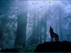 Witchy Wolf Moonlit Night