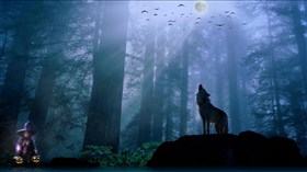 Witchy Wolf Moonlit Night