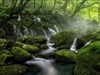Mossy Rock Waterfalls