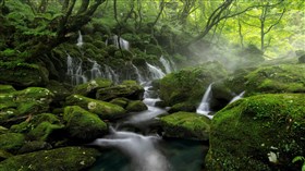 Mossy Rock Waterfalls
