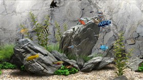 Rock Aquarium