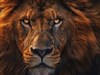 4K Lion Quick Change
