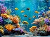 4K Coral Aquarium