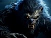 4K Werewolf