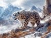 4K Snow Leopard