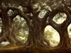 8K Giant Old Oak Trees