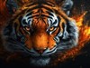 4K Tigers Face4