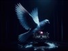 Peace Secret