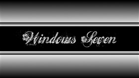 Windows Seven-silver