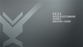 U.N.S.C Marines