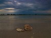 il silenzio