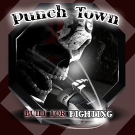 Punch Town MMA