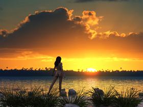 Bali Nights