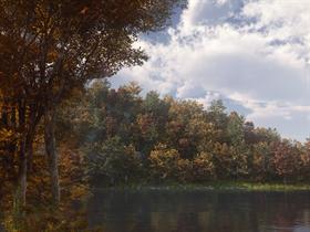 Walden Pond