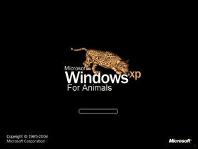 Xp For Animals