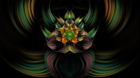 Summers Bloom LV