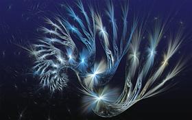 Starlit Spiral