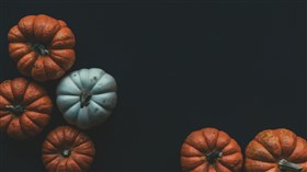 Pumpkins on Dark Background
