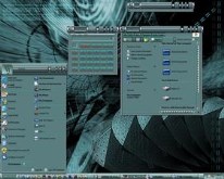 Vector 3