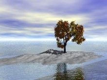 The Last Tree