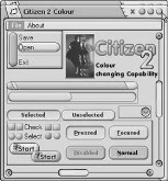 Citizen 2 Grey