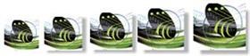 Dreamweaver Zoomer Tripack