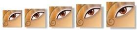 Photoshop v6 Zoomers Tripack