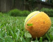 ZuBall